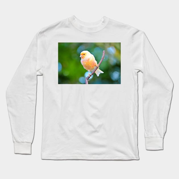 Canary Long Sleeve T-Shirt by kchase